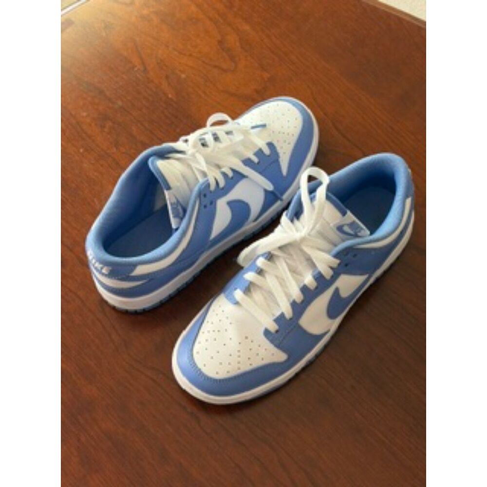 Nike Dunk Low Retro Polar Blue